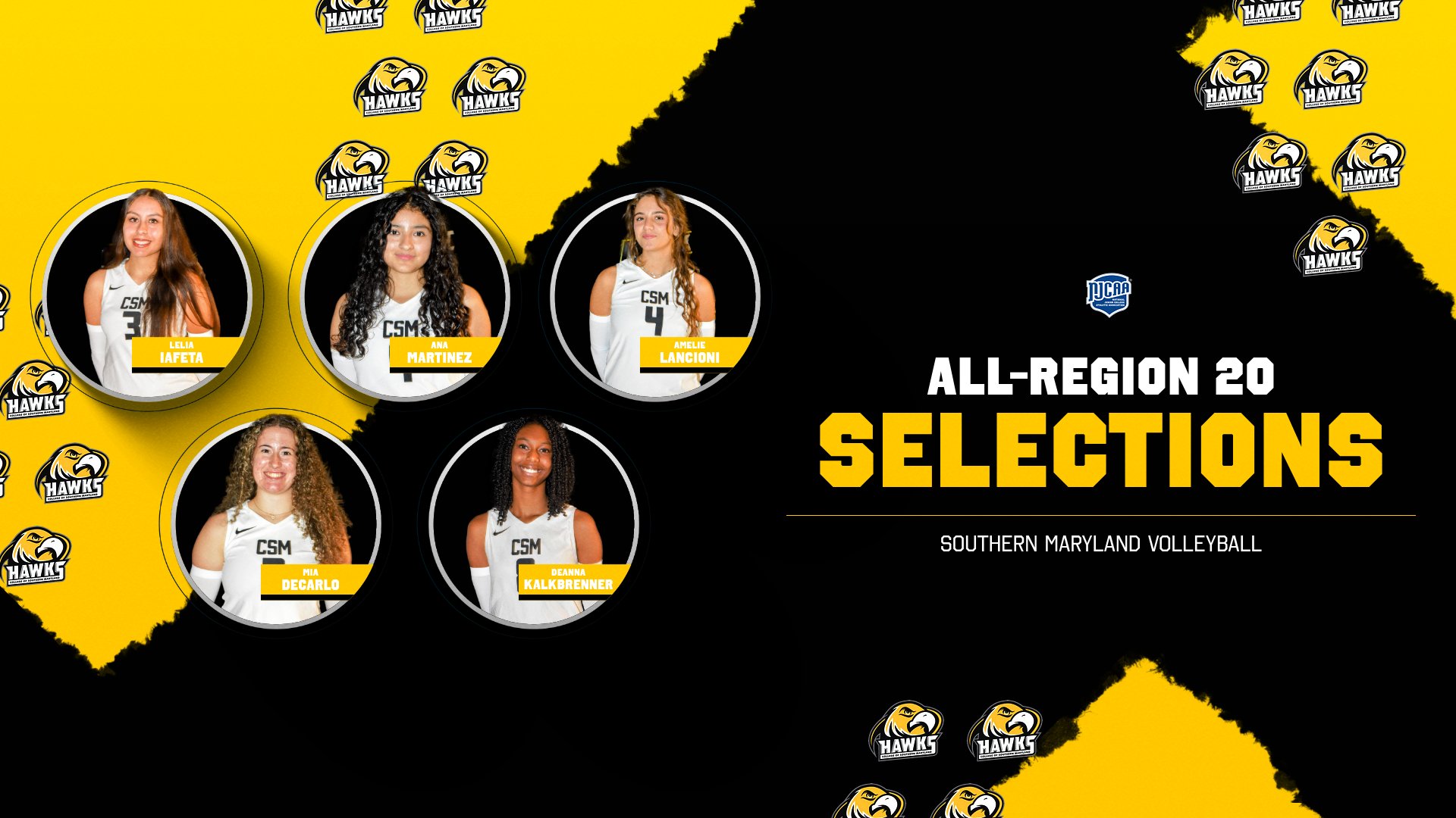 Nearly Entire Volleyball Starting Lineup Makes All-Region 20 Squad